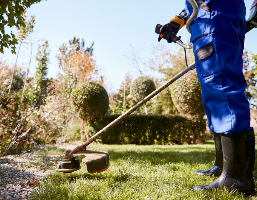 Održavanje travnjaka i dvorišta | Alfa tim