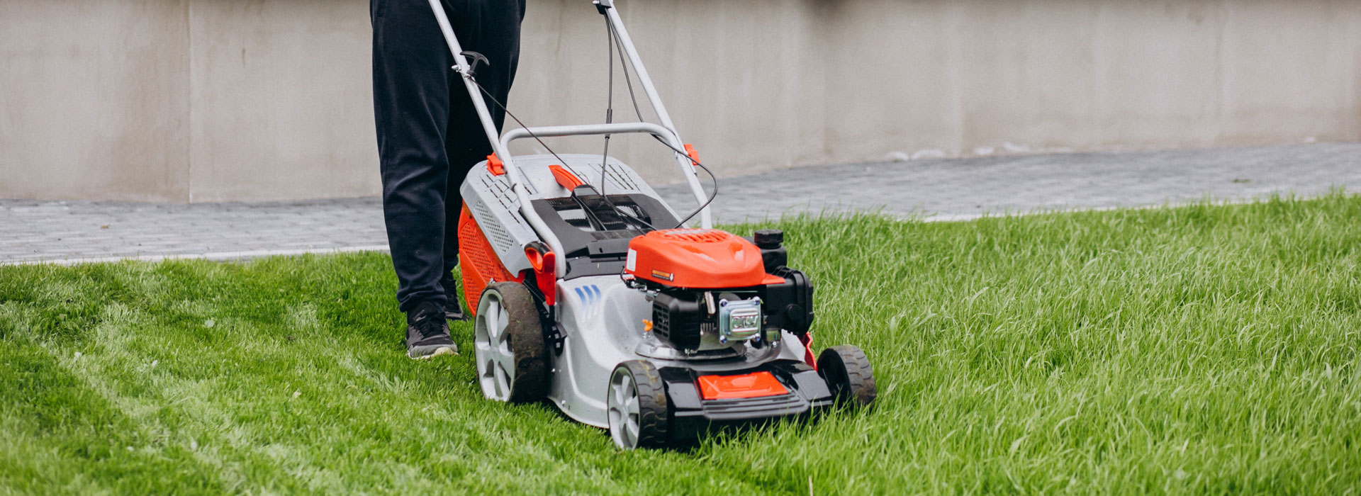 Održavanje travnjaka i dvorišta | Alfa tim